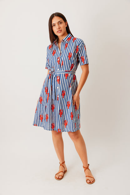 ROBE KIARA HOMARD