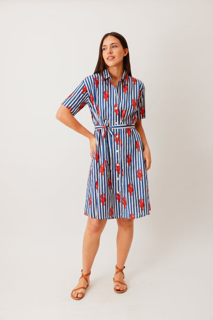 ROBE KIARA HOMARD