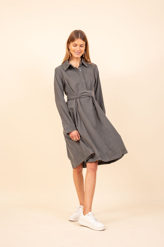 PAOLA GREY VELVET DRESS